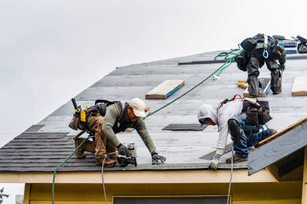 Professional Roofing technician working in Maryville, IL